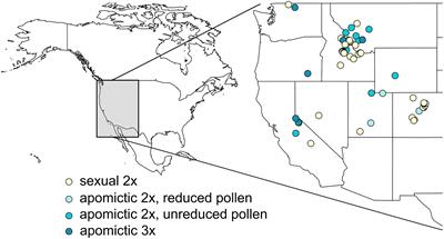 Seed size, endosperm and germination variation in sexual and apomictic Boechera